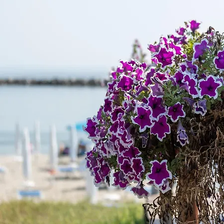 Cosy In Lido Delle Nazioni With Pool Apartamento *